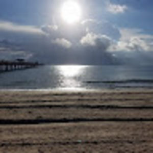 Meet your Posher, Pam phillips